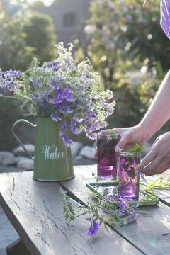 Lilac Lemonade of basil and mint, vintage still life purple and green, in the Stock Photos