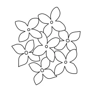 Lilac or hydrangea flowers top view, doodle style flat vector outline for Stock Illustration