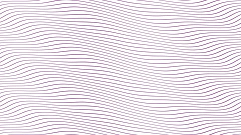 Lilac parallel wave lines slow flowing animation on isolated white background Stock Footage 202593300