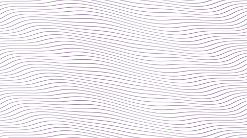 Lilac parallel wave lines slow flowing animation on isolated white background Stock Footage 202593867