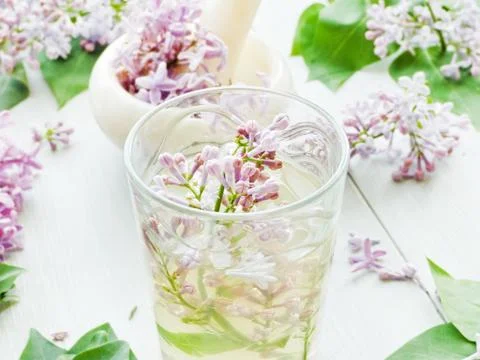 Lilac Stock Photos