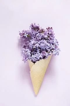 Lilac Stockfoto's
