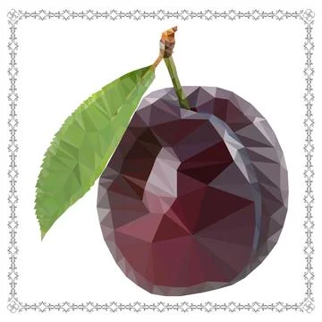 Lilac plum. Stock Illustration