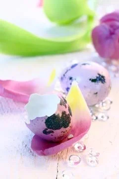 Lilac quail egg Stock Photos