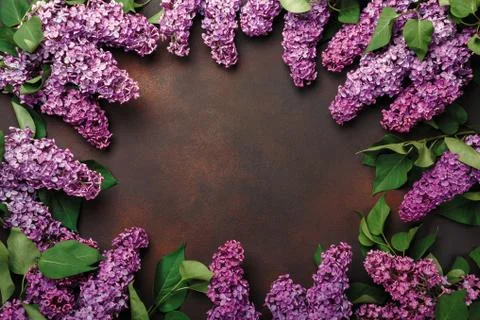 Lilac on rusty background. Top view with place for your text Stock Photos