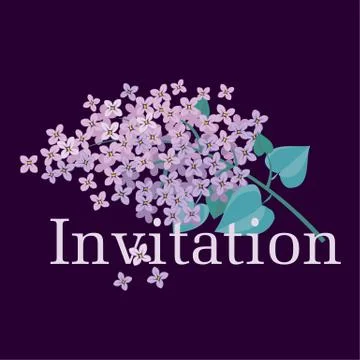 Lilac spring blossom vector illustration. Floral branch of violet blooming fo Illustrazione stock