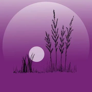 Lilac sunset. Evening time of day. Plants on the background of a lilac sunset Stock Illustration