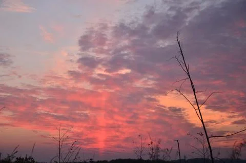 Lilac sunset Stock Photos