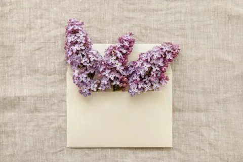 Lilac twigs in an envelope Stock Photos