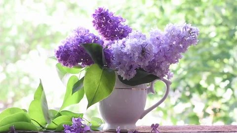 Lilac in a vase on the window. Beautiful and delicate flowers, Spring background Stock Footage 280473716