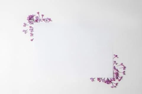 Lilac on a white background. Space for text. Lilac petals. Spring flowers. Pa Stock Photos
