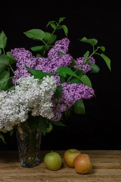 Lilacs of different varieties on a black background. Spring flowers. Stock Photos