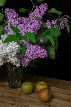 Lilacs of different varieties on a black background. Spring flowers. Stock Photos