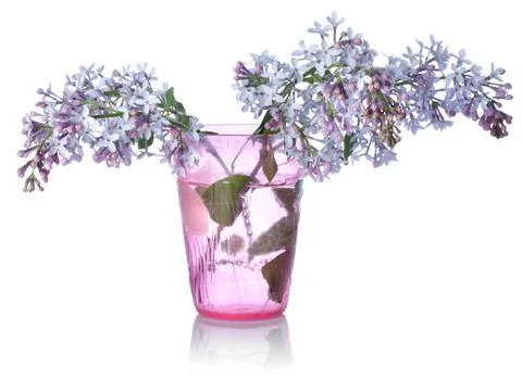 Lilacs in a glass Stock Photos