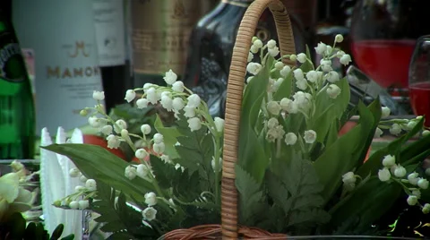 Lilies in a basket Stock Footage 4282424