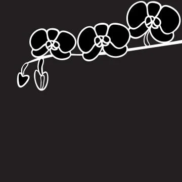 Lilies on a black background, vector Illustrazione stock