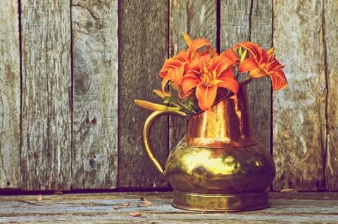 Lilies. Stock Photos
