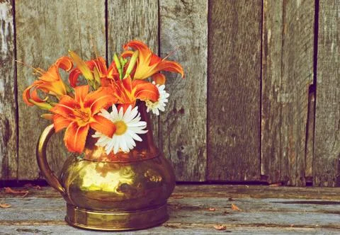 Lilies. Stock Photos