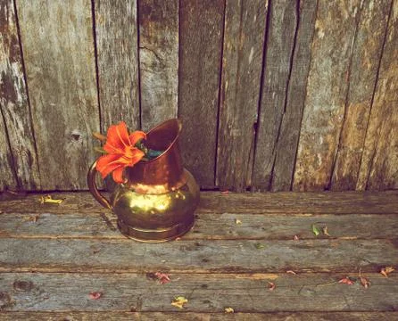 Lilies. Stock Photos