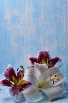 Lilies on the table Foto stock