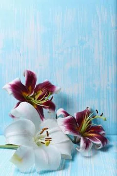 Lilies on the table Foto stock