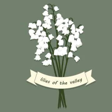 Lilies of the valley  Stock Illustration