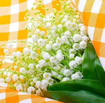 Lilies of the valley on the orange tablecloth Stock Photos