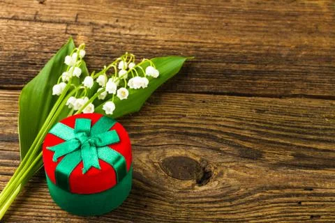 Lilies of the valley Stock Photos