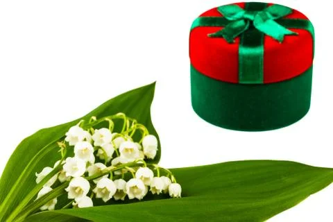 Lilies of the valley Stock Photos
