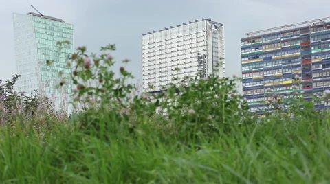 Lille, France, edifices, construction, buildings Stock Footage 46243213