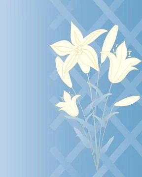 Lilly background Illustrazione stock