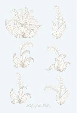 Lilly base 2 zz Stock Illustration