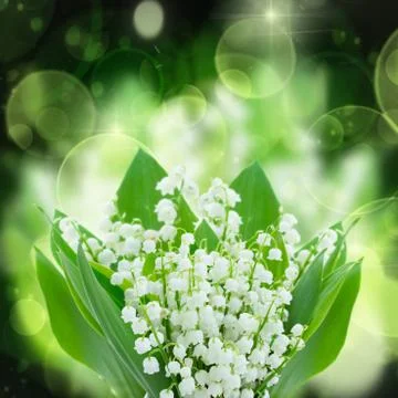 Lilly of the valley flowers close up Stock Illustration