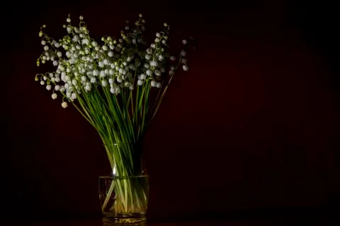 Lilly  of the valley Stock Photos