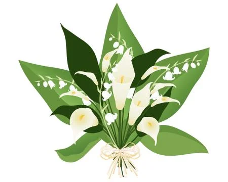 Lily arrangement Stock Illustration