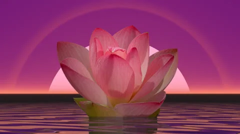 Lily flower and moonlight - 3D render Video stock 24375413