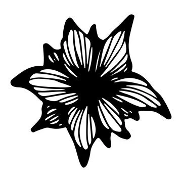 Lily flower bud. Vector linear illustration. Black and white graphics. Isolat Stock-Illustration