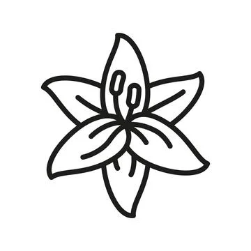 Lily flower icon features a clean and versatile style, perfect for represen.. Stock Illustration