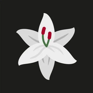 Lily flower icon features a clean and versatile style, perfect for represen.. Stock Illustration