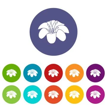 Lily flower icons set vector color Stock Illustration