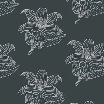 Lily flower Stock Illustration