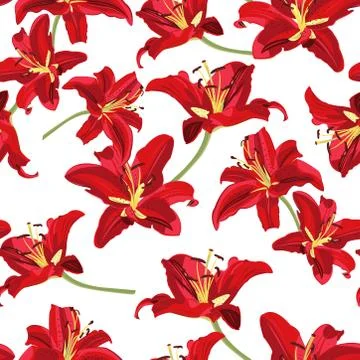 Lily flower seamless pattern on white background, Red lily floral vector illu Illustrazione stock