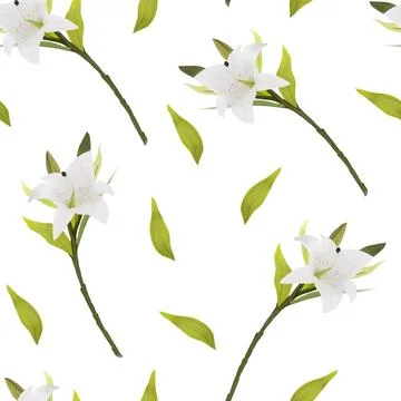 Lily Flower Seamless Pattern on White Background Stock Photos