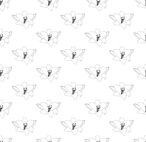 Lily Flower Seamless on White Background Stock Illustration