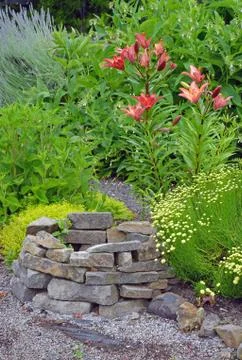 Lily garden Foto stock