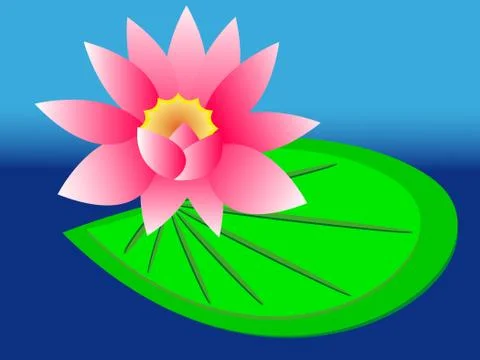 Lily Stock Illustration