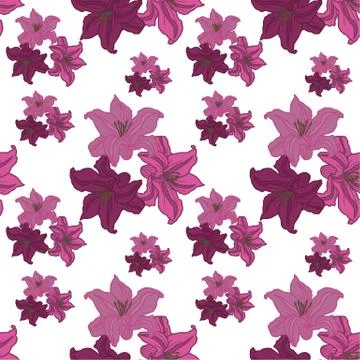 Lily. Stock Illustration