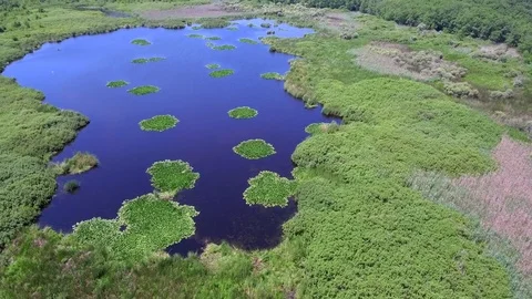Lily lake bird view Stock Footage 76652055