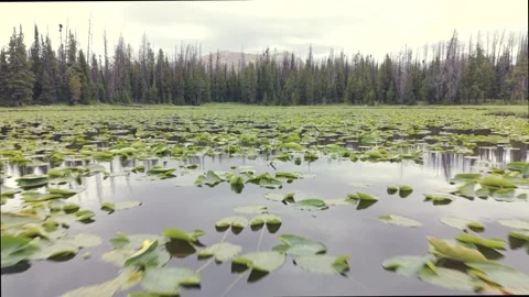 Lily Lake Uinta Mountains Forward Push Aerial 4K Video stock 337902459