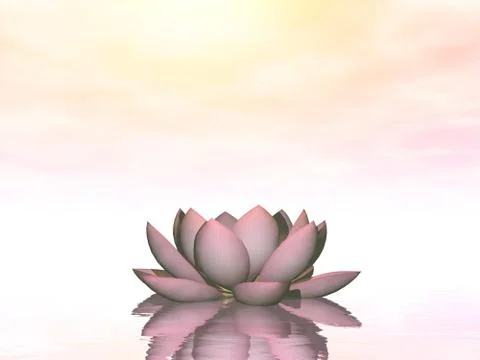 Lily lotus flower - 3D render Stock Illustration